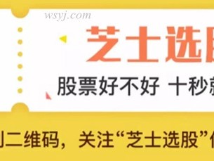 芝士财富创始人芝sir个人简介